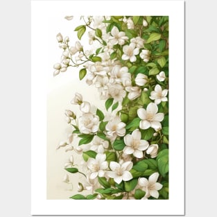 Magnolia Flowers Posters and Art